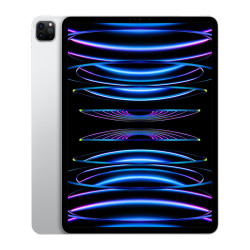 iPad Pro 12.9 (M2, 6th Gen)